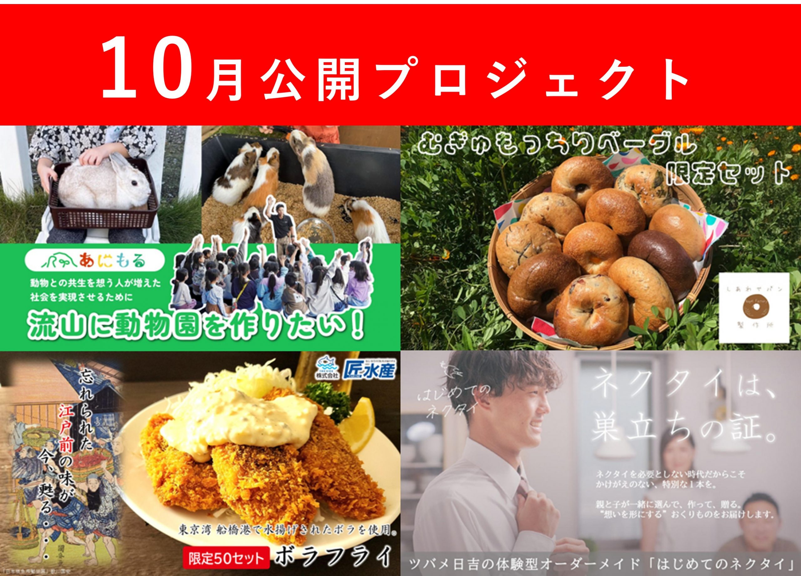 10月の新規プロジェクトが公開！